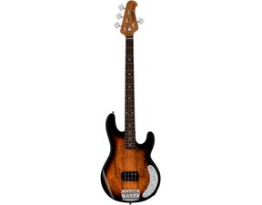 StingRay RAY34 Spalted Maple 3-Tone Sunburst