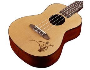 Ortega RU5 Natural - koncertní ukulele