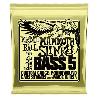 2823 Ernie Ball Mammoth Slinky Nickel Wound 5-String Electric Bass Strings 55-145 Gauge - struny pro baskytaru - 1ks