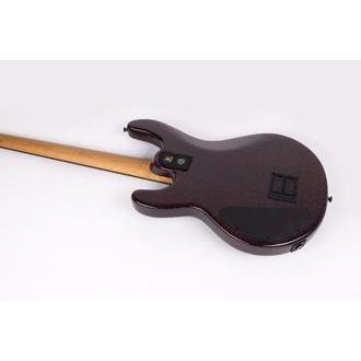 Music Man USA -  Dark Ray 4 H - Dark Rainbow - basová kytara - 1ks