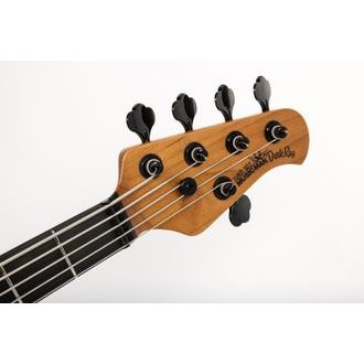 Music Man USA -  Dark Ray 5 H - Dark Rainbow - basová kytara - 1ks