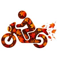 Motosport