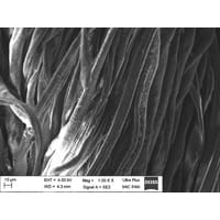 Nanosilver materiál pod mikroskopem!