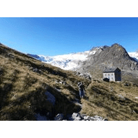 Vašek Torčík: Můj zážitek roku s nanosilver