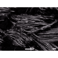 Nanosilver materiál pod mikroskopem!