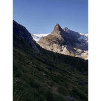 Vašek Torčík: Můj zážitek roku s nanosilver