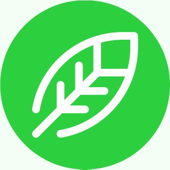 zapach