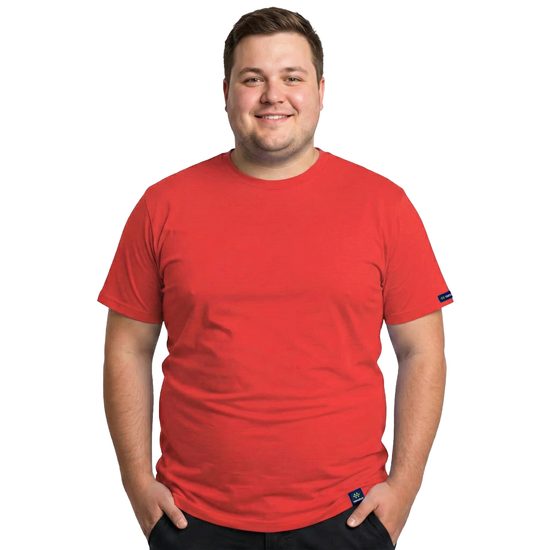 Pánské tričko nanosilver regular MAX  červená
