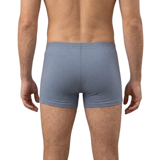 Funkční boxerky nanosilver Cotton Classic šedá