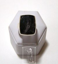 Šungit - stříbrný prsten