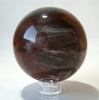 Zkamenělé dřevo - koule (8,5 cm)