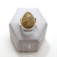 Fosilní korál - stříbrný prsten