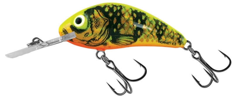 Salmo Wobler Rattlin Hornet Floating 5,5cm - Gold Fluo Perch