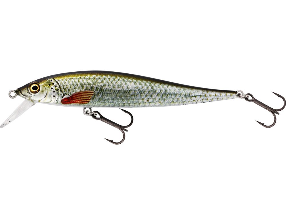 E-shop Westin Wobler Jerkbite SR Jerkbait Real Roach - 9cm 8g,Westin Wobler Jerkbite SR Jerkbait Real Roach - 9cm 8g