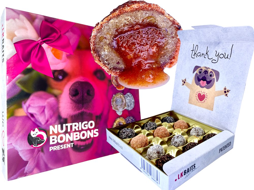 LK Baits Pet Sváteční bonboniéra Nutrigo Bonbons Present pro větší psy,LK Baits Pet Sváteční bonboniéra Nutrigo Bonbons Present pro větší psy