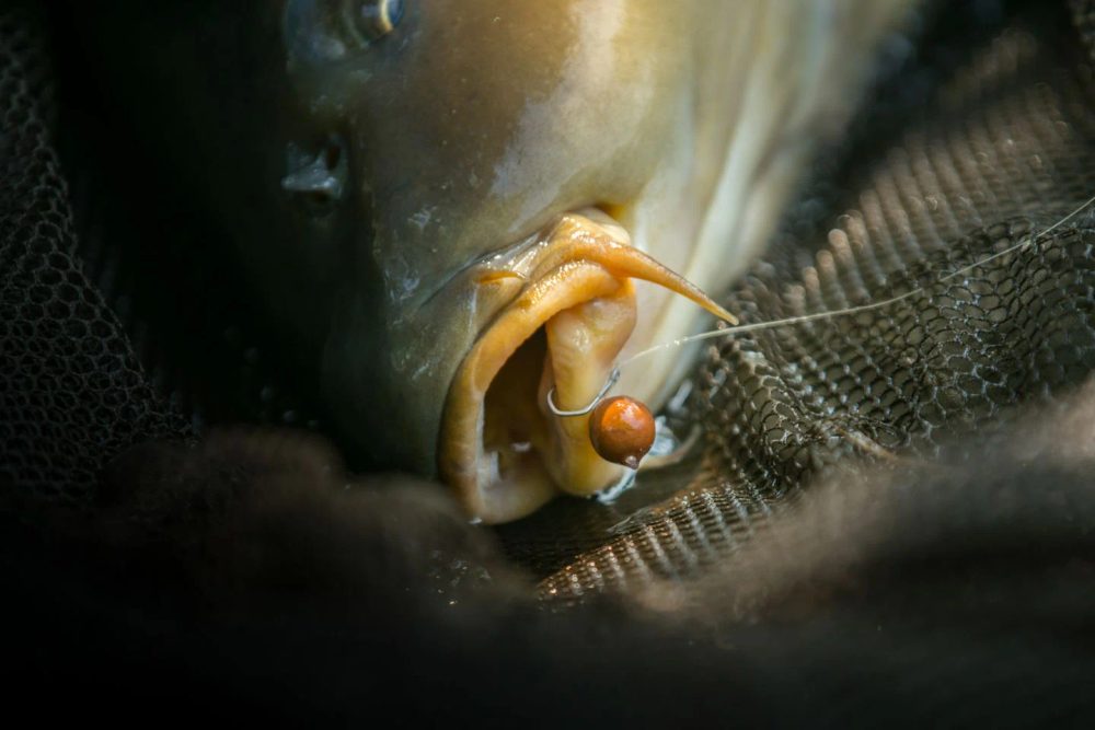 Nash Háčky Claw 10ks,Nash Háčky Claw 10ks