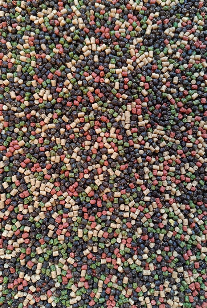 E-shop FeederBait Pelety Method Pellet 2mm 800g - Halibut - Green, Black, Red,FeederBait Pelety Method Pellet 2mm 800g - Halibut - Green, Black, Red