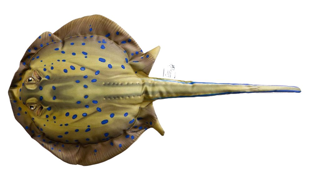 Gaby Polštář Trnucha 85 cm,Gaby Polštář Trnucha 85 cm