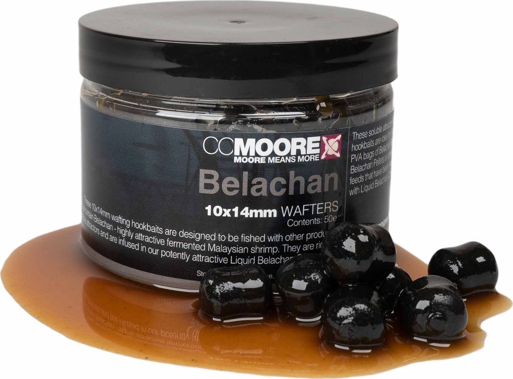 E-shop CC Moore Boilies Belachan Wafters - 10x14mm 50ks,CC Moore Boilies Belachan Wafters - 10x14mm 50ks