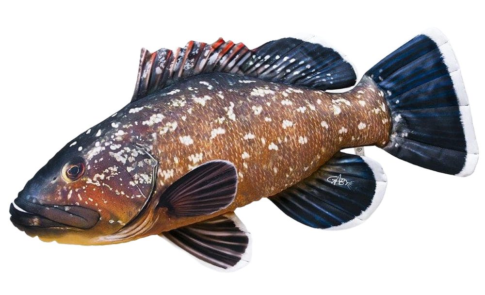 Fotografie Gaby Polštář Kanic vroubený 100cm