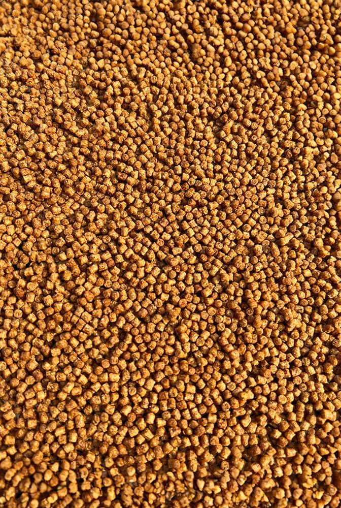 FeederBait Pelety Method Pellet 2mm 800g - Tygří ořech