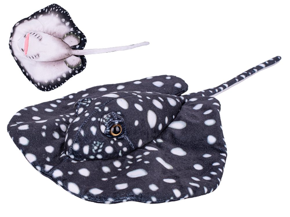 Star Arts Rejnok plyšový 40cm černý,Star Arts Rejnok plyšový 40cm černý