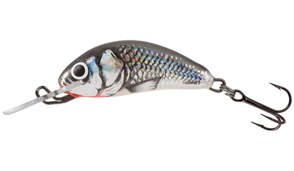 E-shop Salmo Wobler Hornet Sinking 4cm - Holographic Grey Shiner,Salmo Wobler Hornet Sinking 4cm - Holographic Grey Shiner