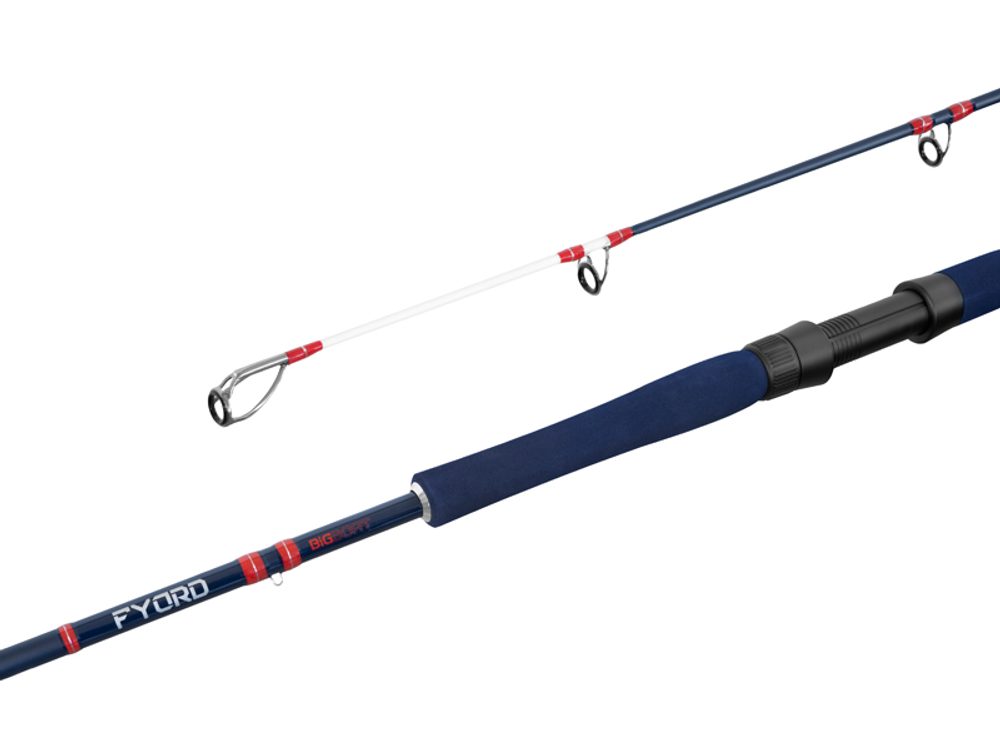 E-shop Delphin Prut Fyord BigBoat 220cm 300-400g,Delphin Prut Fyord BigBoat 220cm 300-400g