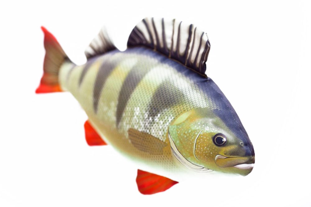 Gaby Polštář Okoun říční mini 35 cm,Gaby Polštář Okoun říční mini 35 cm