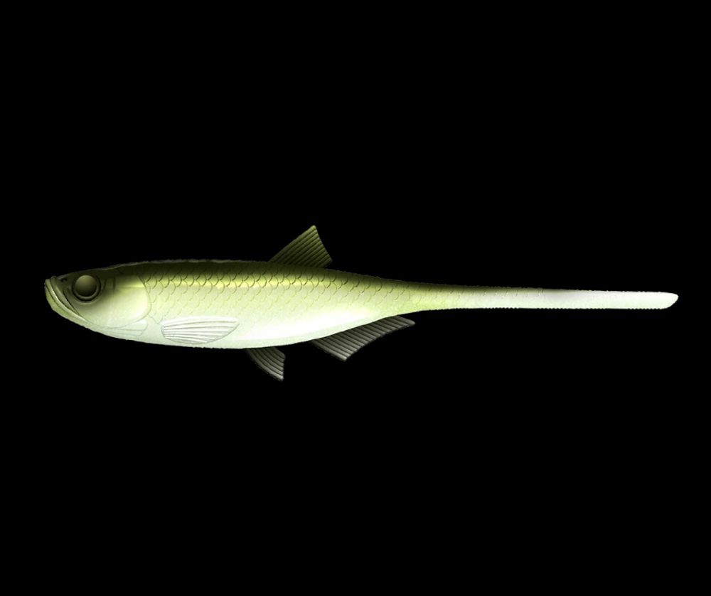 E-shop Libra Lures Gumová nástraha Bleak Slug Tail 8,2″ 21cm 35g - Olive Whitefish 031,Libra Lures Gumová nástraha Bleak Slug Tail 8,2″ 21cm 35g - Olive Whit