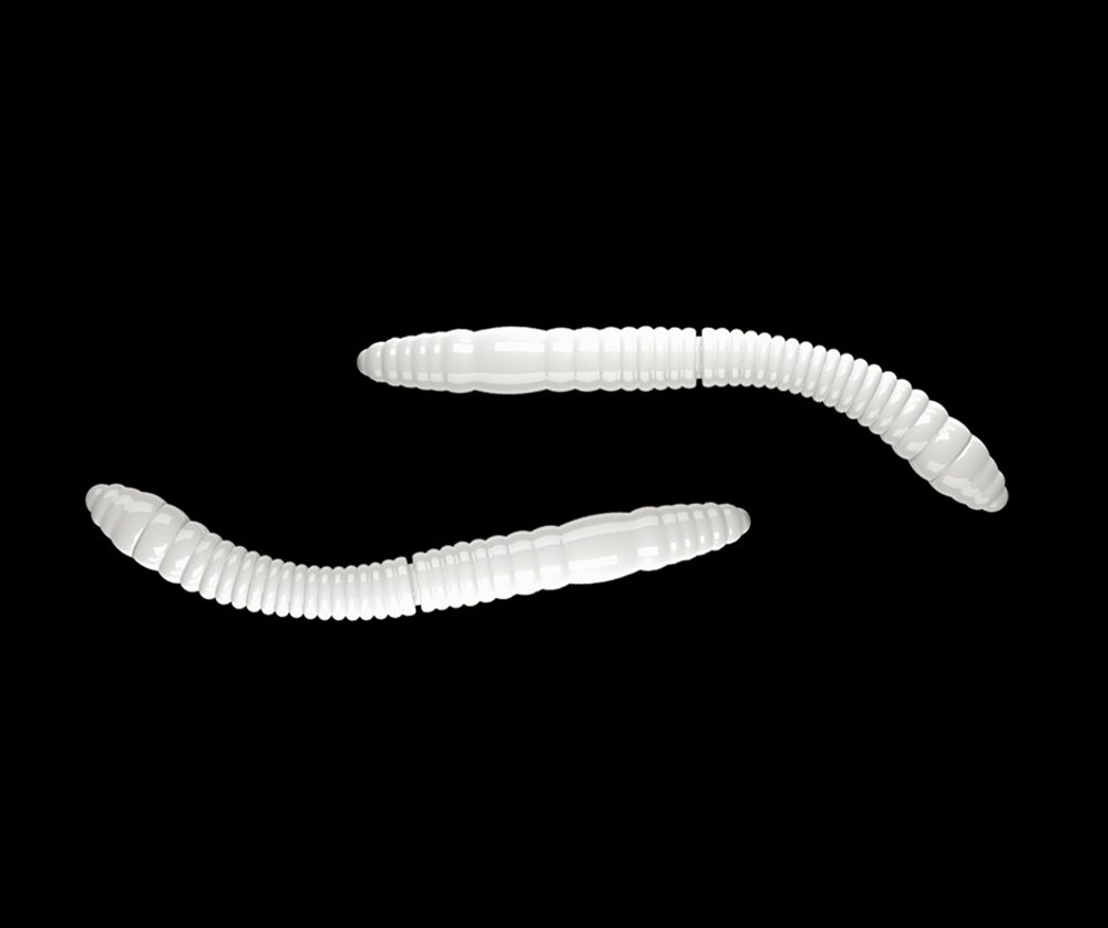 E-shop Libra Lures Fatty D’Worm Silver Pearl - D’Worm 6,5cm 10ks,Libra Lures Fatty D’Worm Silver Pearl - D’Worm 6,5cm 10ks