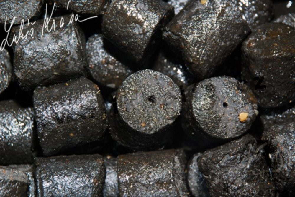 E-shop LK Baits Pelety Salt Black Hallibut Pellets 1kg,LK Baits Pelety Salt Black Hallibut Pellets 1kg