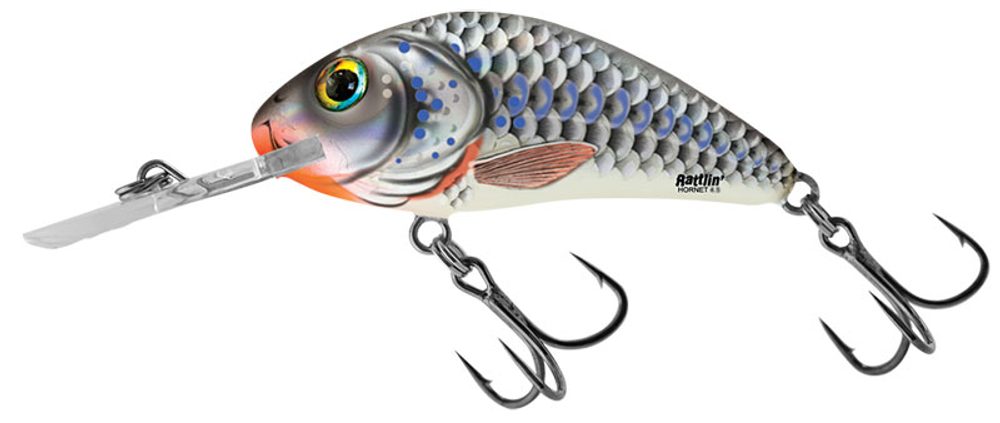 E-shop Salmo Wobler Rattlin Hornet Floating 5,5cm - Silver Holographic Shad,Salmo Wobler Rattlin Hornet Floating 5,5cm - Silver Holographic Shad