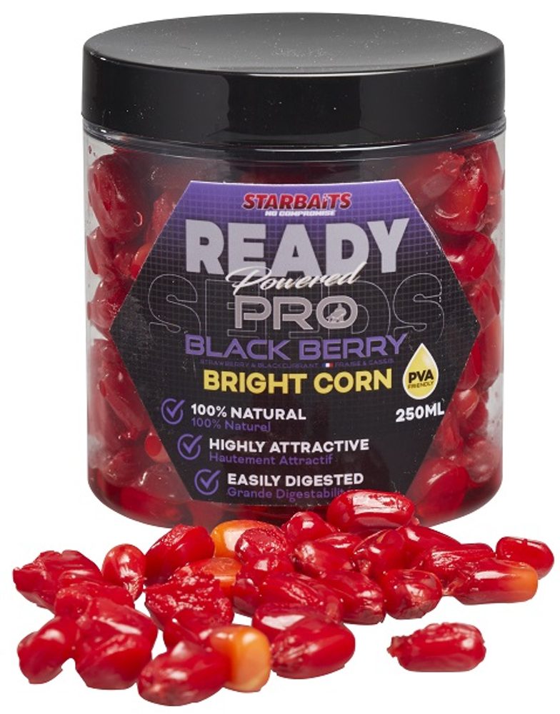 Starbaits Kukuřice Bright Ready Seeds Pro 250ml - Blackberry