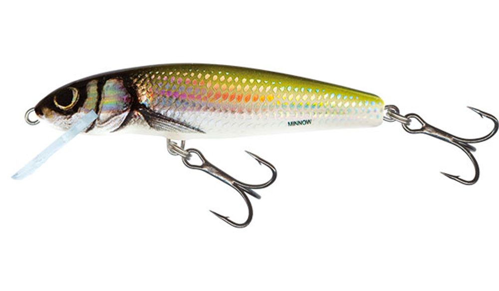 Salmo Wobler Minnow Sinking 5cm - Holo Bleak