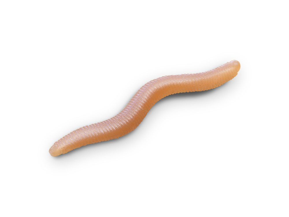 E-shop Delphin Umělá nástraha B! StinxWorm 50ks - 4cm Shrimp/Skiny,Delphin Umělá nástraha B! StinxWorm 50ks - 4cm Shrimp/Skiny