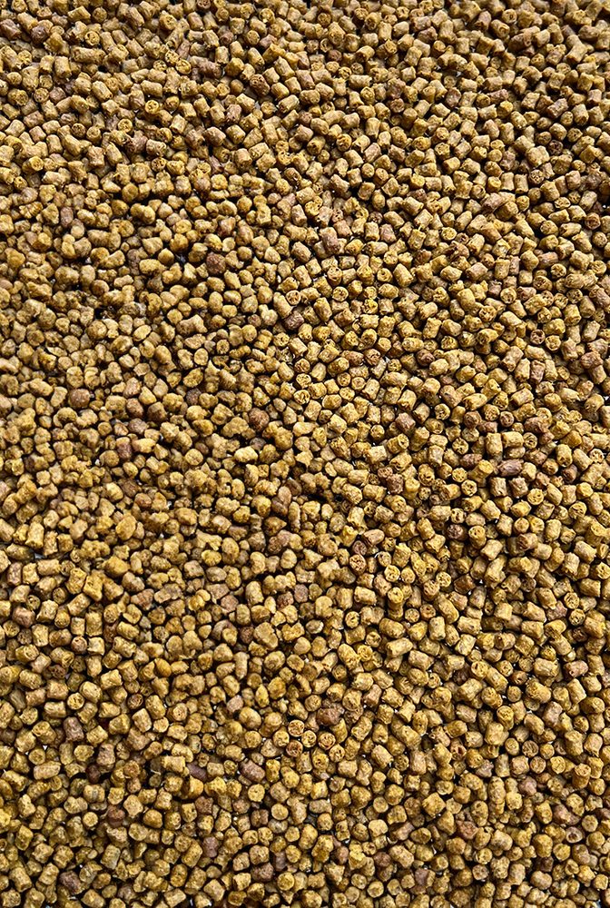 E-shop FeederBait Pelety Method Pellet 2mm 800g - Epidemia - CSL,FeederBait Pelety Method Pellet 2mm 800g - Epidemia - CSL