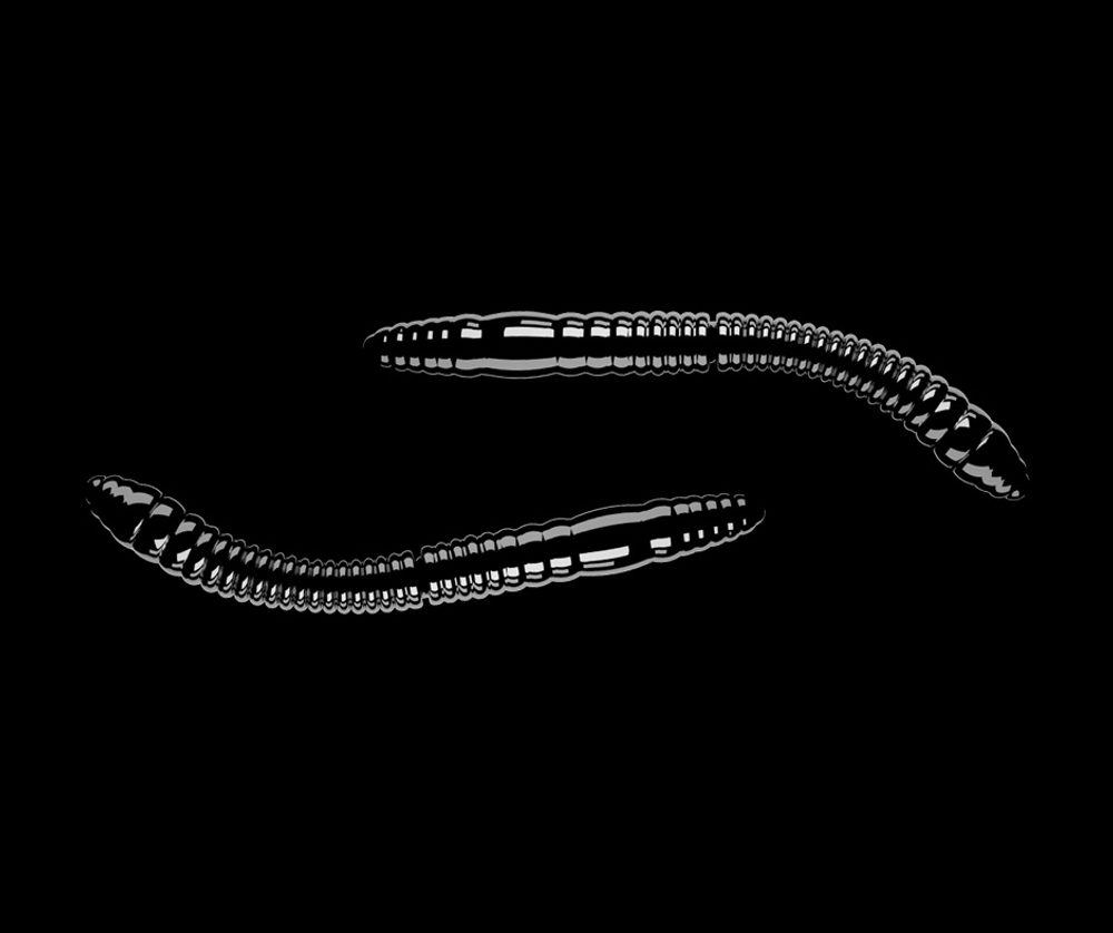 Libra Lures Fatty D’Worm Black - D’Worm 6,5cm 10ks