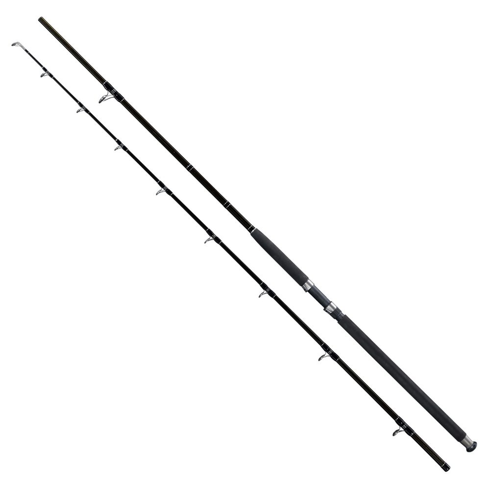 E-shop Giants Fishing Prut Deluxe Catfish 2,9m 500g,Giants Fishing Prut Deluxe Catfish 2,9m 500g