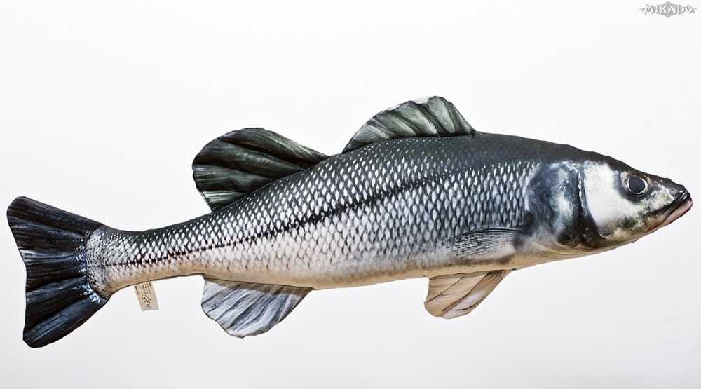 Gaby Polštář Sea Bass (Mořský vlk)