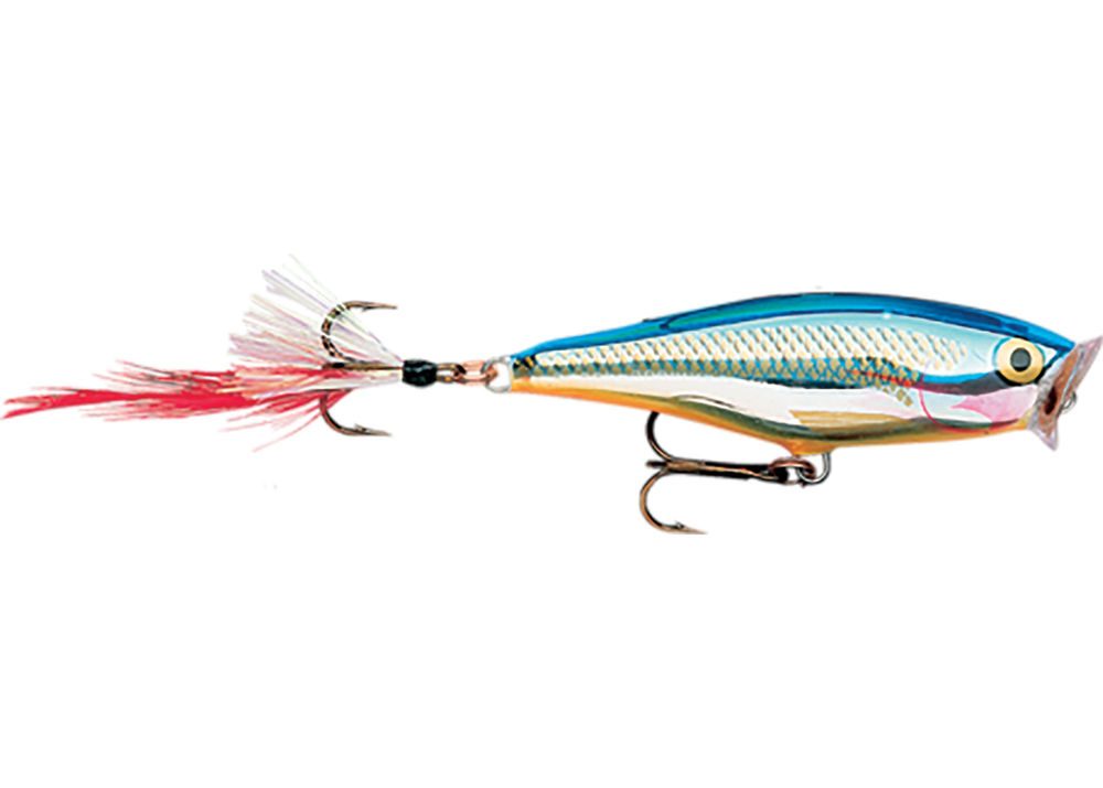 E-shop Rapala Wobler Skitter Pop Top Water Fresh SB - 9cm 14g,Rapala Wobler Skitter Pop Top Water Fresh SB - 9cm 14g