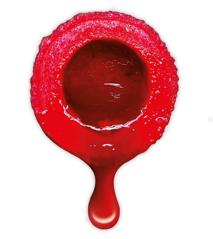 E-shop LK Baits Nutrigo Extra Wild Strawberry,LK Baits Nutrigo Extra Wild Strawberry