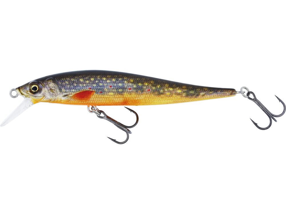 E-shop Westin Wobler Jerkbite SR Jerkbait Brook Trout Fry - 7,5cm 5g,Westin Wobler Jerkbite SR Jerkbait Brook Trout Fry - 7,5cm 5g