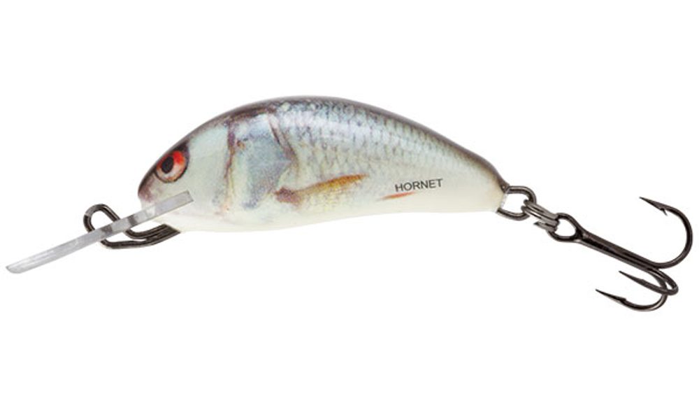 Salmo Wobler Hornet Sinking 4cm - Real Dace