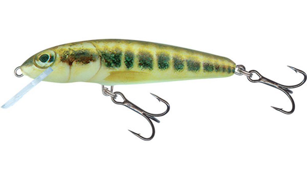 E-shop Salmo Wobler Minnow Sinking 7cm - Minnow