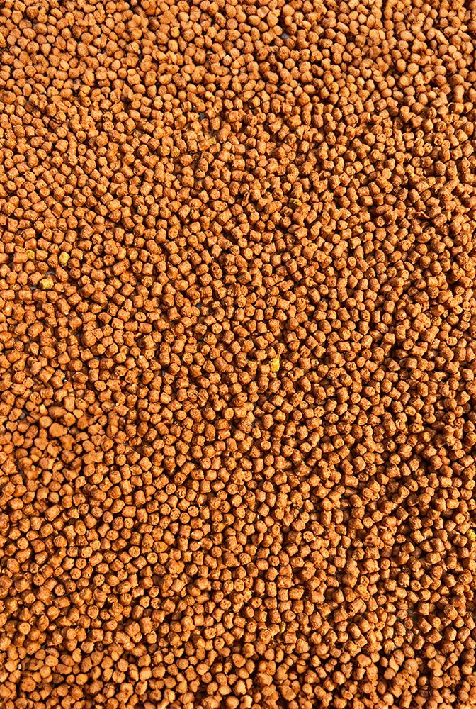 E-shop FeederBait Pelety Method Pellet 2mm 800g - R72 - Broskev/Ananas,FeederBait Pelety Method Pellet 2mm 800g - R72 - Broskev/Ananas