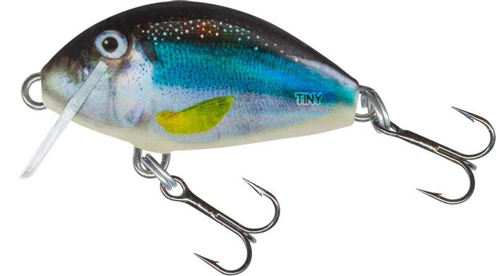 E-shop Salmo Wobler Tiny Holo Smelt - 3cm Floating,Salmo Wobler Tiny Holo Smelt - 3cm Floating