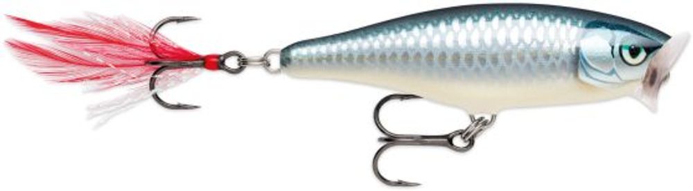 Rapala Wobler Skitter Pop Top Water Fresh Baby Aspius,Rapala Wobler Skitter Pop Top Water Fresh Baby...