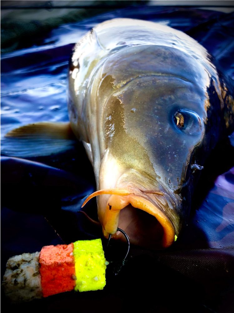 Fotografie LK Baits Nástraha CUC! - Karamel 40g