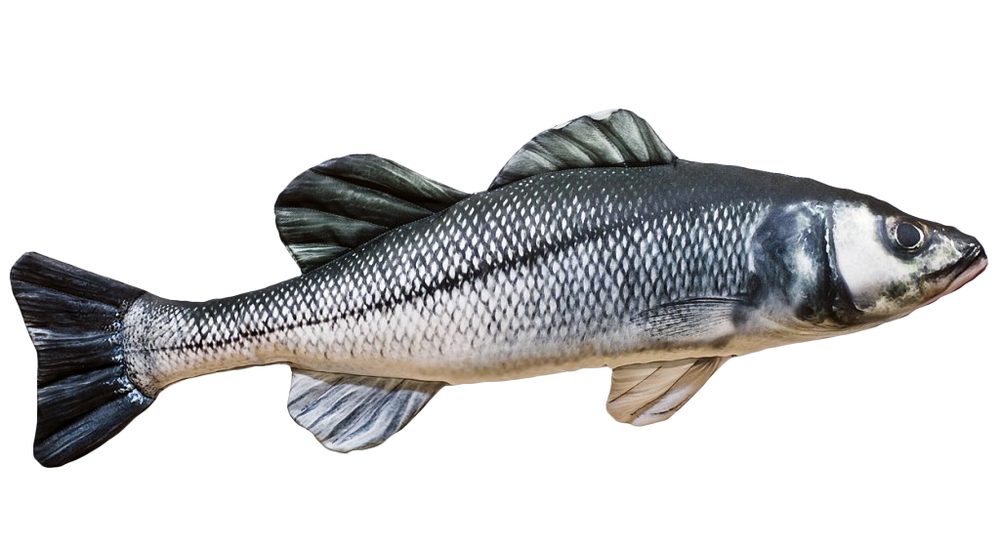 Gaby Polštář Sea Bass (Mořský vlk) 70 cm